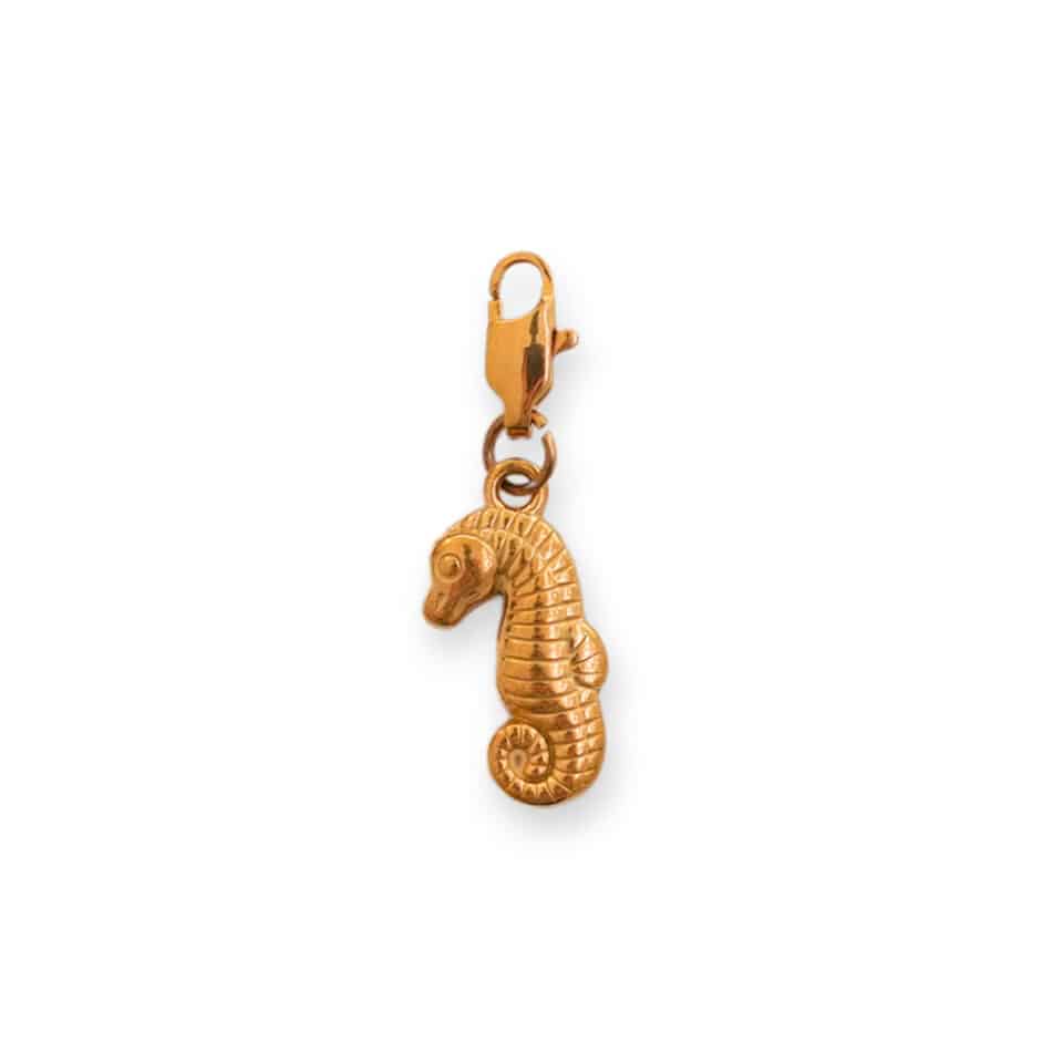 Charm Hippocampe