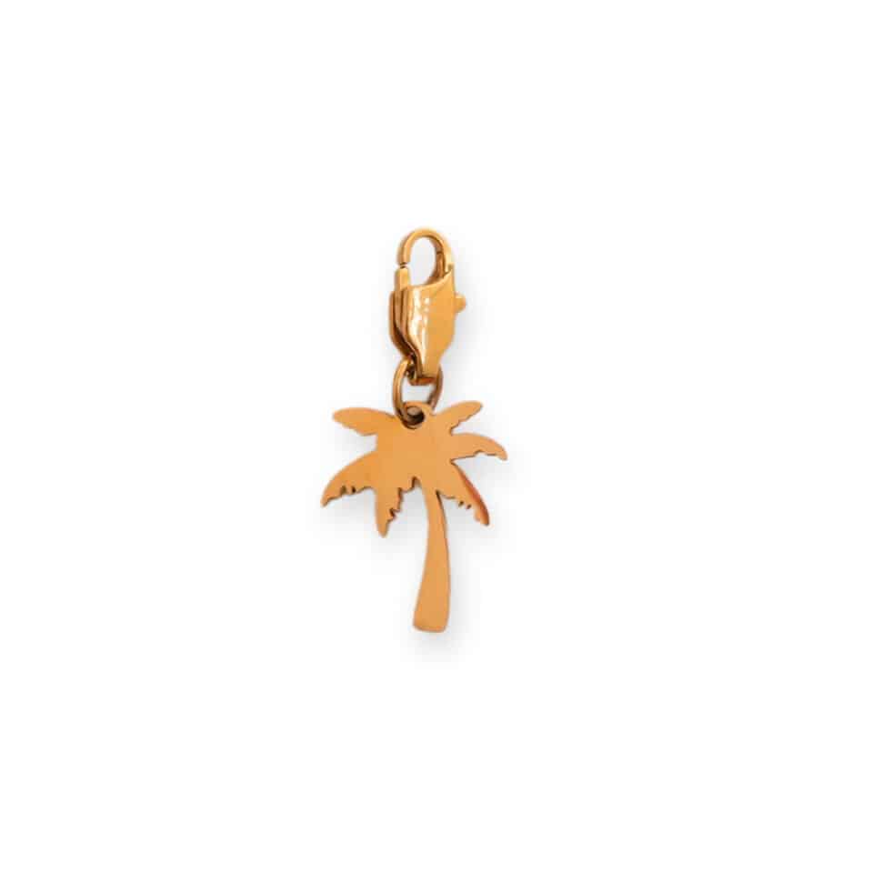 Charm Palmier