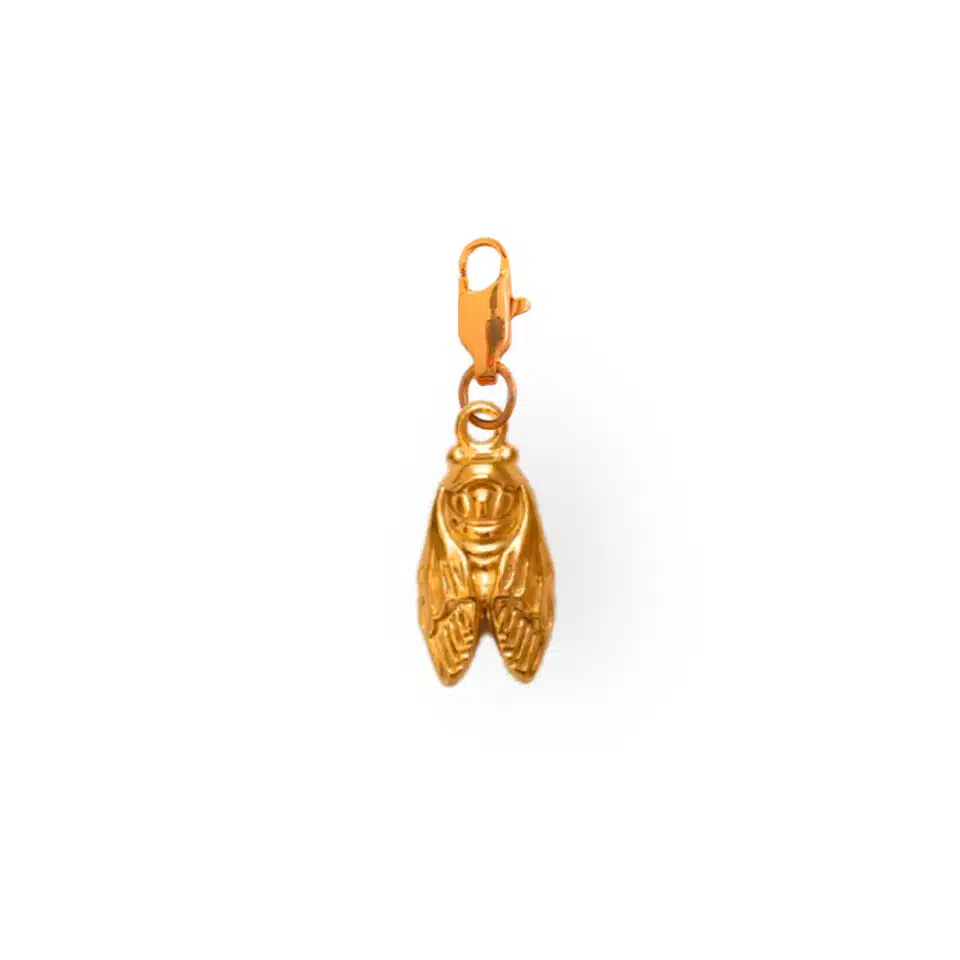 Charm Cigale